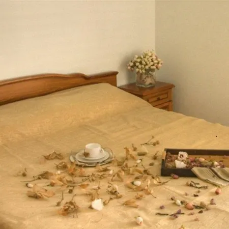 Apartment Sun Sunny Beach